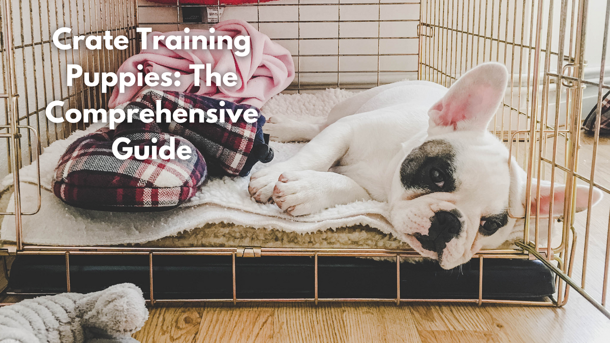 Image showcasing Crate Training Puppies: The Comprehensive Guide | For Petz NI