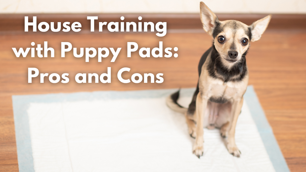 House Training with Puppy Pads: Pros and Cons
