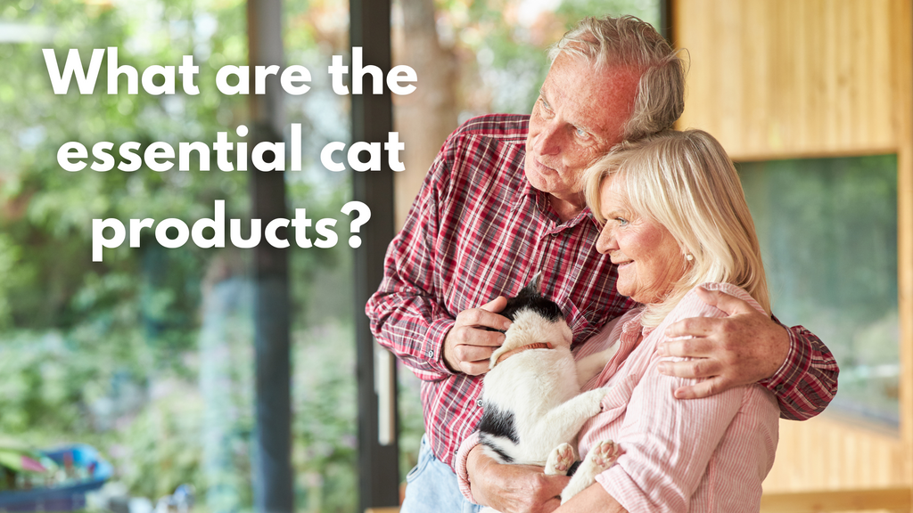 What are the essential cat products?