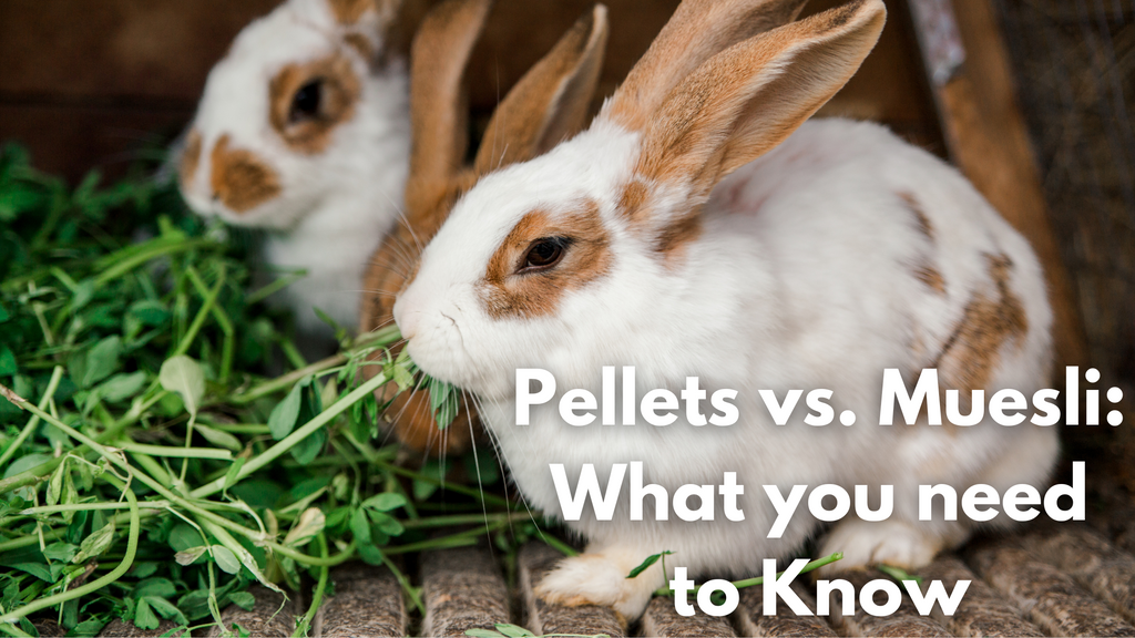 Pellets vs. Muesli: What you need to Know