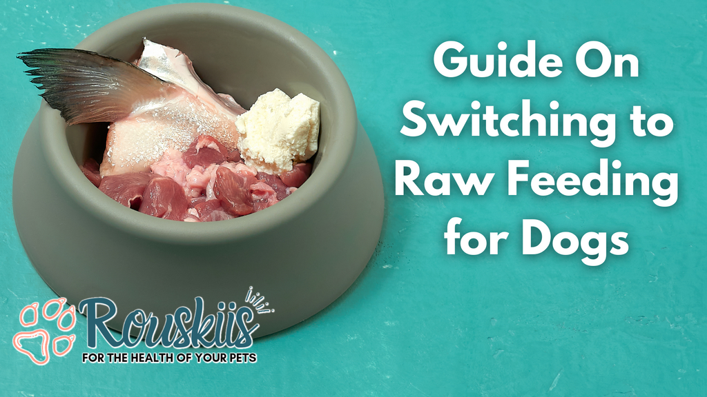 Raw Dog Food For Beginners - Our Guide On Switching to Raw Feeding for Dogs
