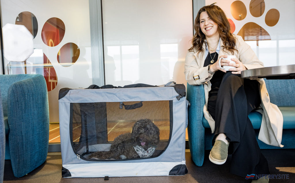 5 Tips For An Enjoyable Ferry Trip With Stena Line Pet Lounges