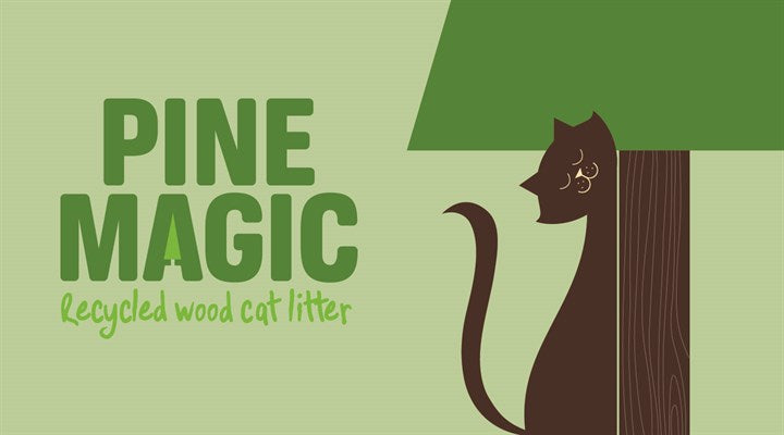Pine Magic