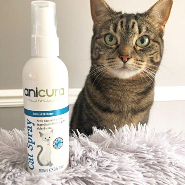 Anicura Cat Spray - For Petz NI