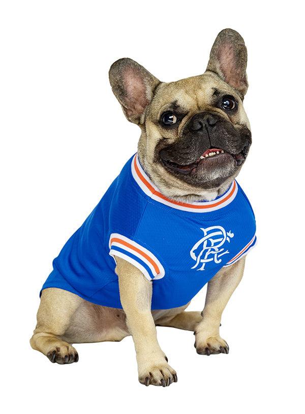 Rangers Football Team Shirt For Dogs - For Petz NI