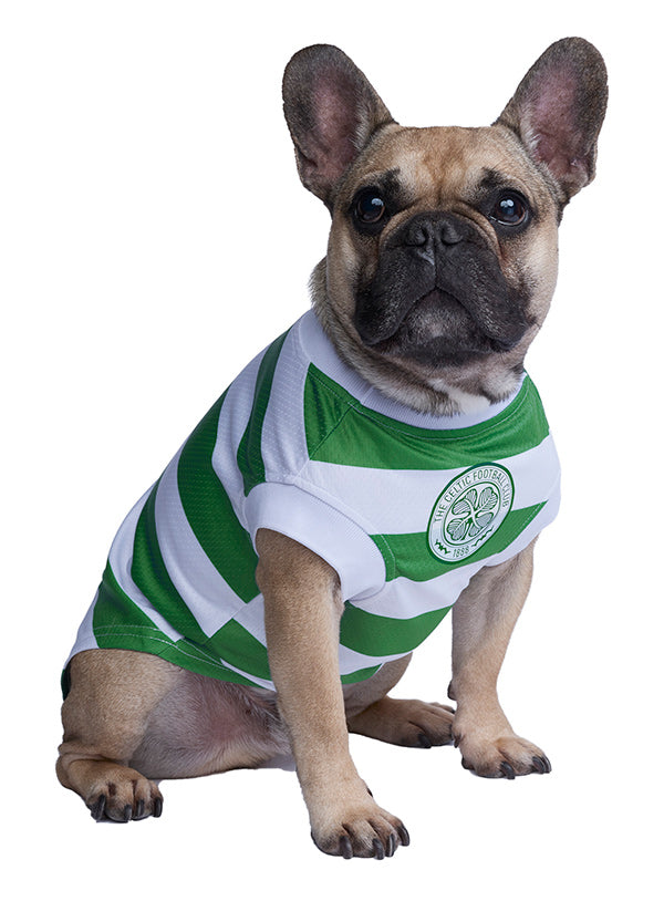 Celtic Football Team Shirt For Dogs - For Petz NI