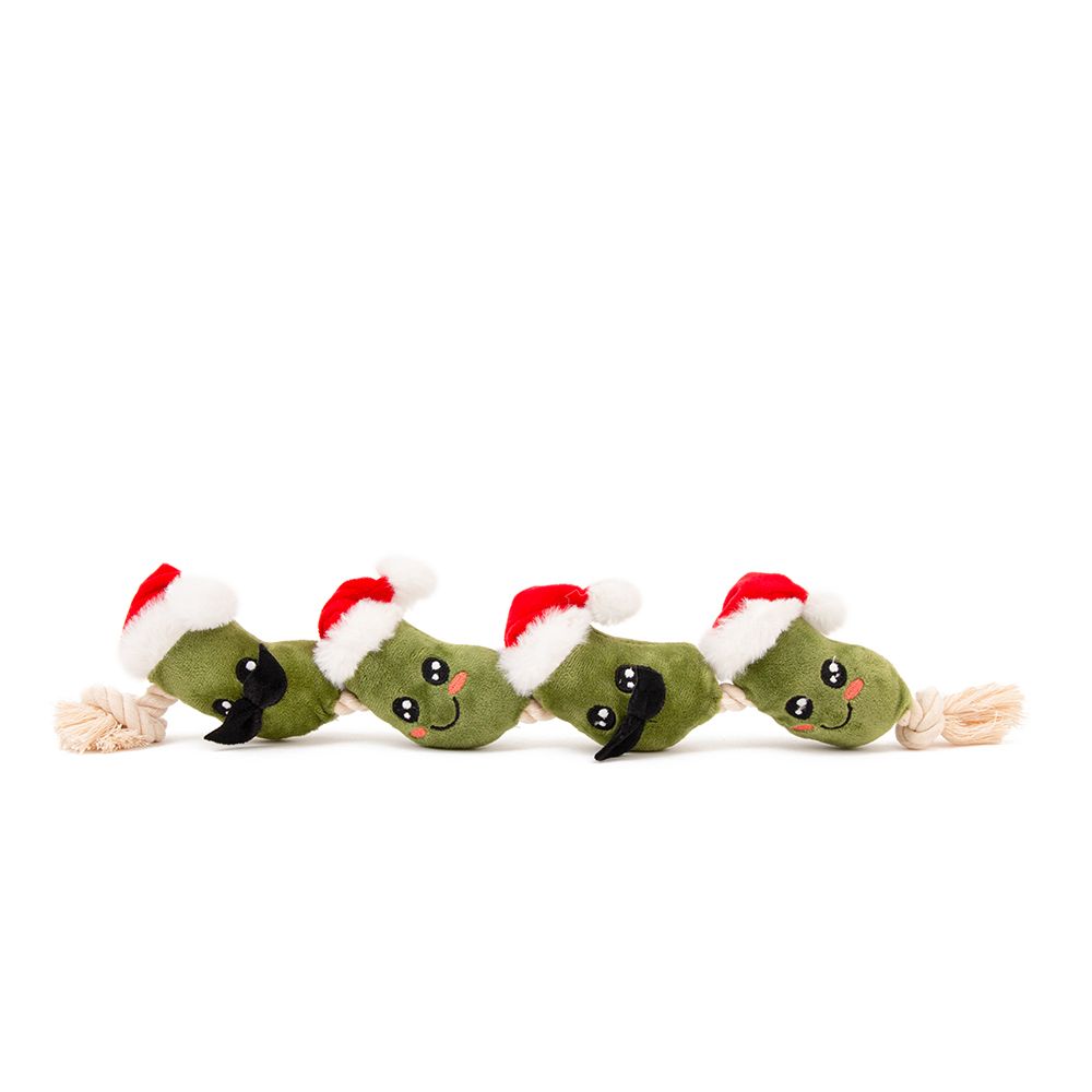 Christmas pickle 2025 dog toy