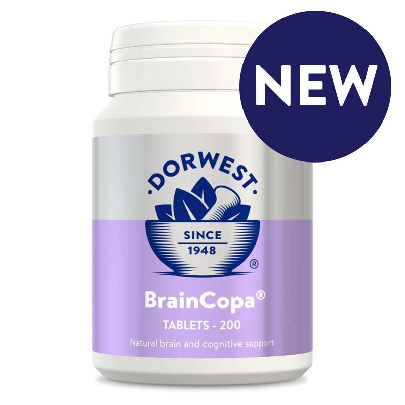 Dorwest BrainCopa® Tablets For Dogs & Cats - For Petz NI