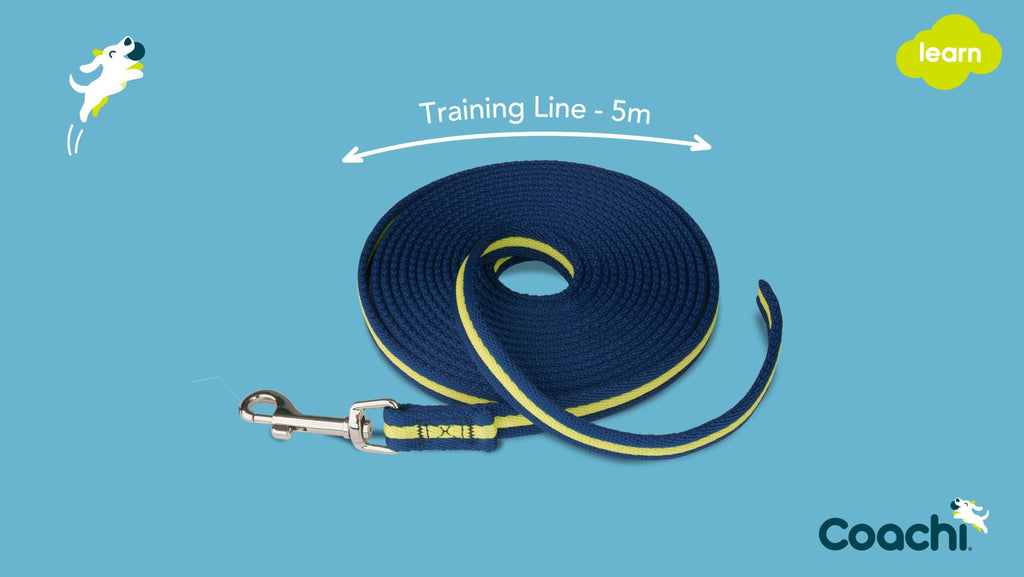 Coachi Training Line - 5 Meters - For Petz NI