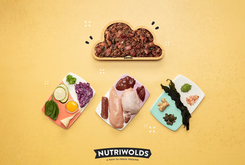 Nutriwolds Chicken Casserole - For Petz NI