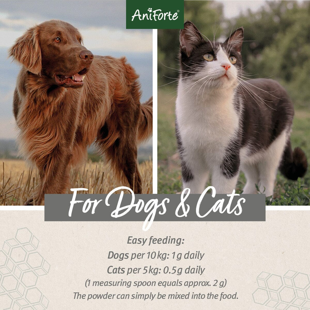 Aniforte MSM Powder for Dogs & Cats - For Petz NI