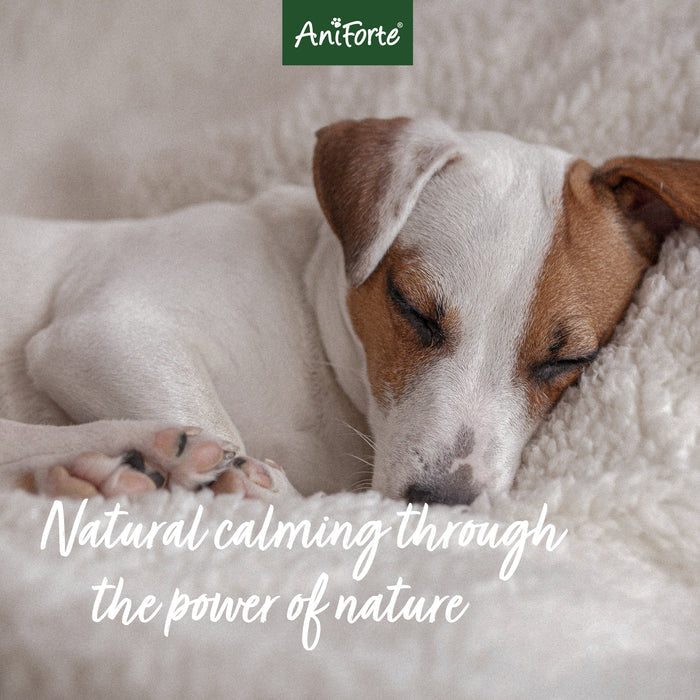 Aniforte Calm & Relax Powder for Dogs - For Petz NI