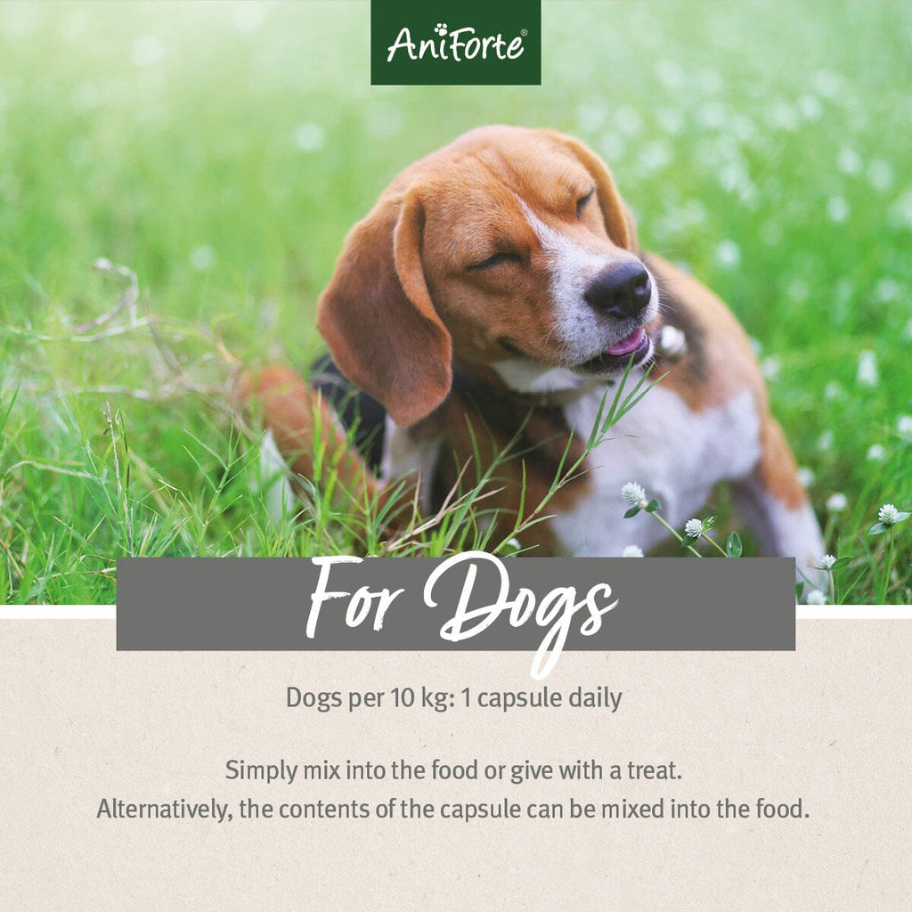 Aniforte Tick Shield for Dogs - 60 Capsules - For Petz NI