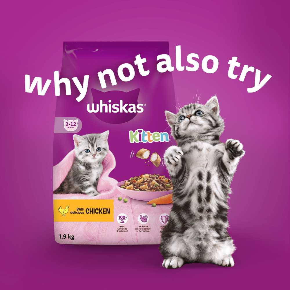 Whiskas Kitten 2-12 Months Mixed Menu in Jelly Wet Kitten Food Pouches - For Petz NI