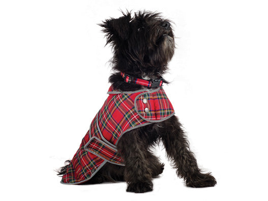 Ancol Highland Tartan Dog Coat - For Petz NI