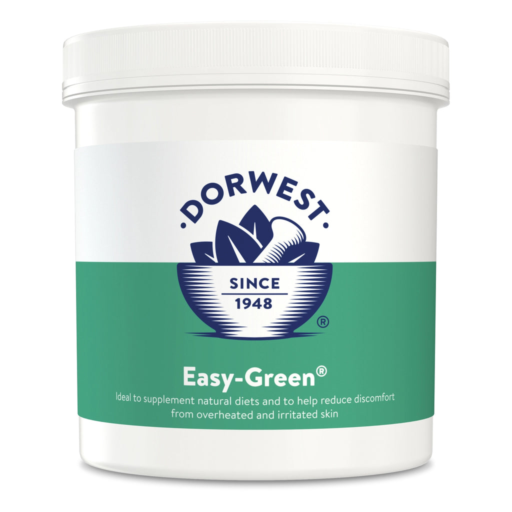 Dorwest Easy Green Powder For Dogs And Cats - For Petz NI
