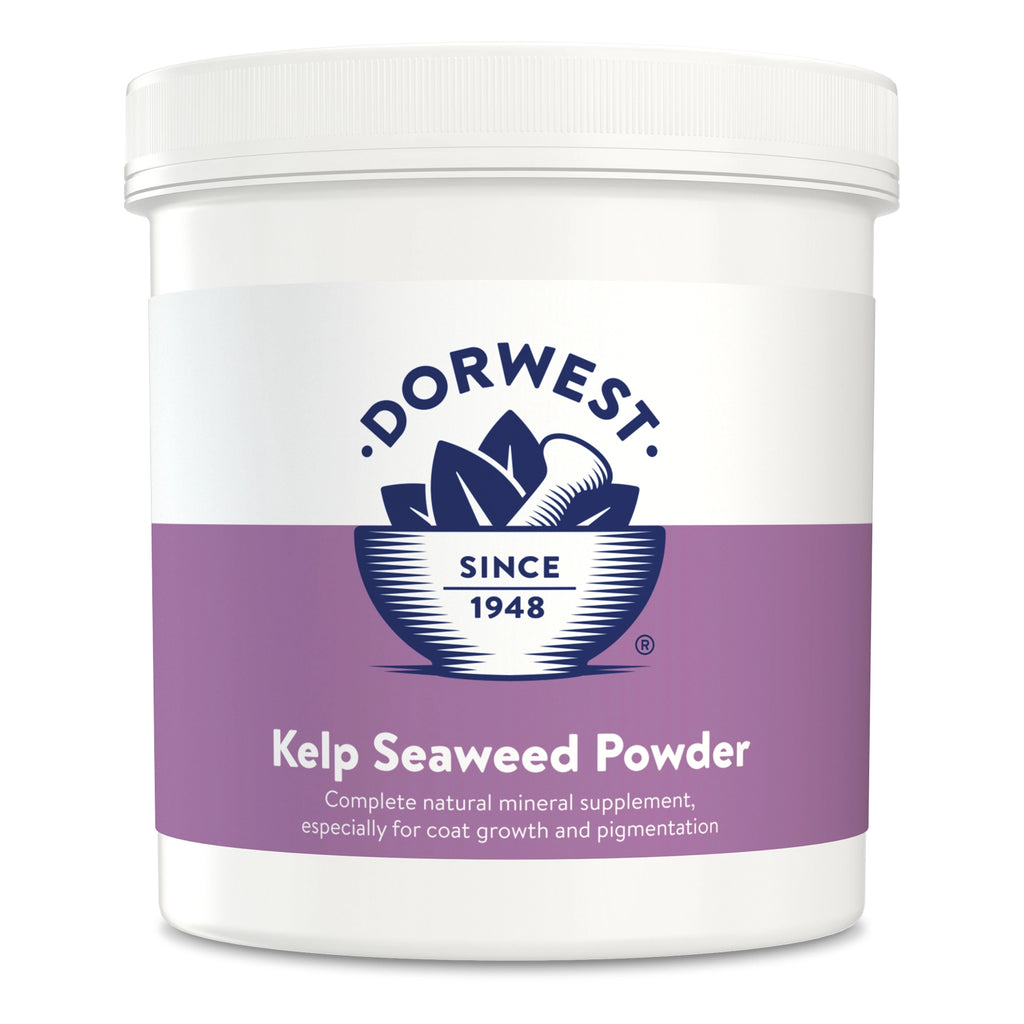 Dorwest Kelp Seaweed Powder For Dogs And Cats - For Petz NI