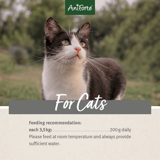 Aniforte PureNature Salmon & Turkey - Wet Food for Cats