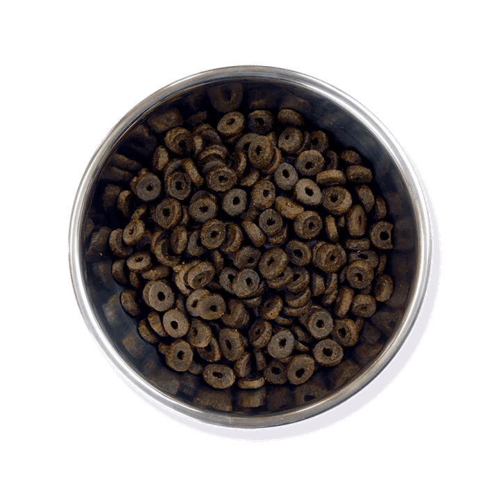 Barking Heads Puppy Days For Petz NI - Main Image