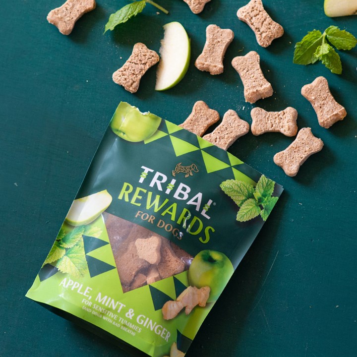 Tribal Baked Rewards for Dogs with Apple, Mint & Ginger - For Petz NI