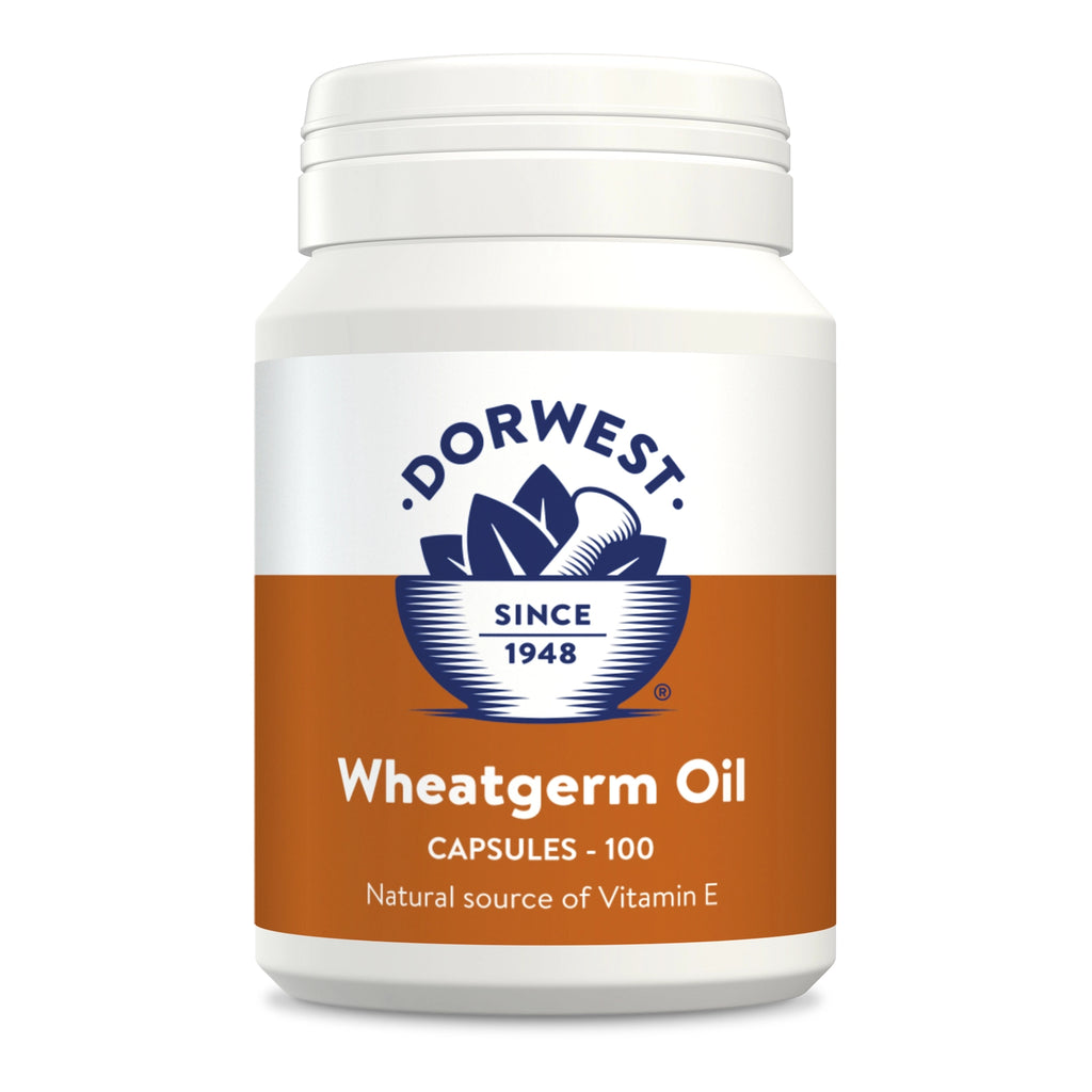 Dorwest Wheatgerm Oil Capsules For Dogs And Cats - For Petz NI