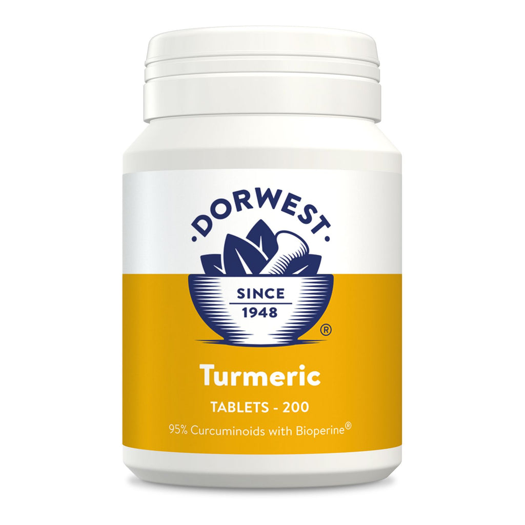 Dorwest Turmeric For Dogs & Cats - For Petz NI