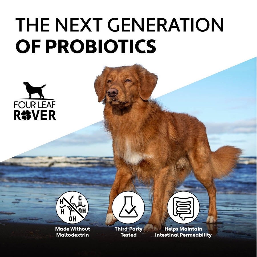 Four Leaf Rover - Saccharomyces boulardii - Yeast-Based Probiotics For Dogs